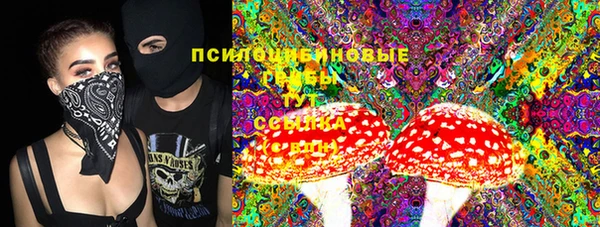 кокс Белокуриха
